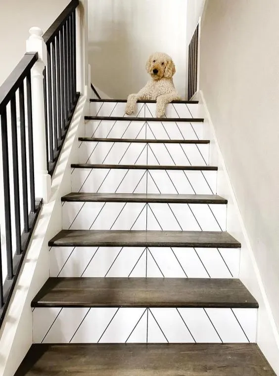 241314162_371597821168091_72234223137042938_n